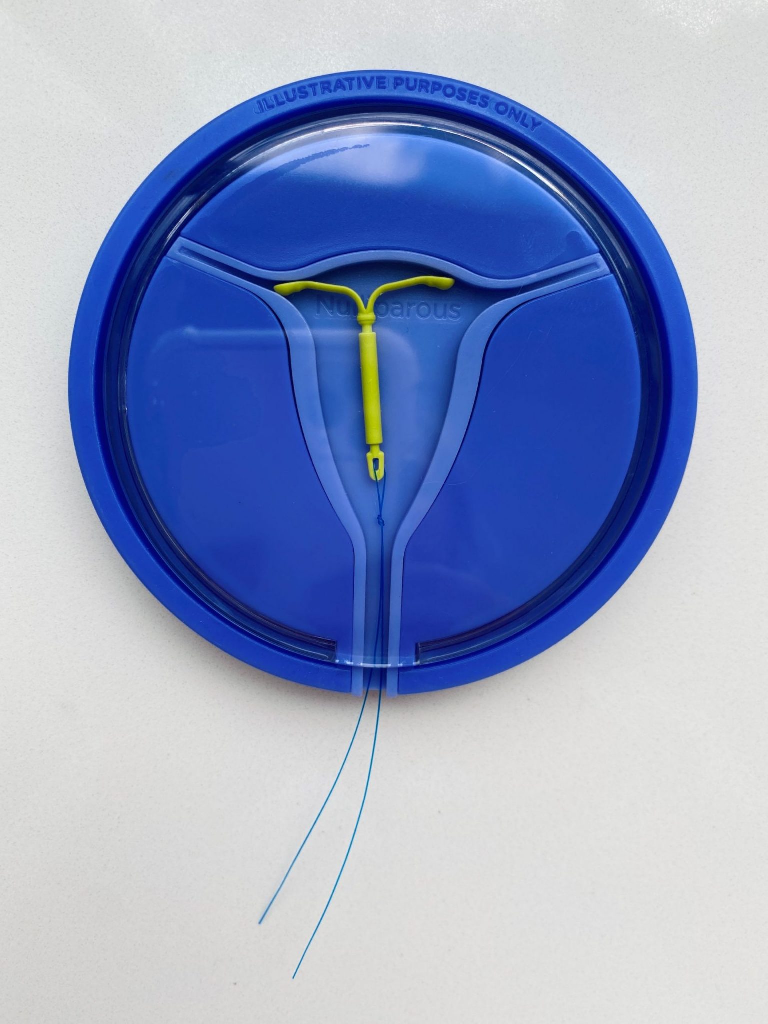 IUD insertion - example of what the IUD looks like